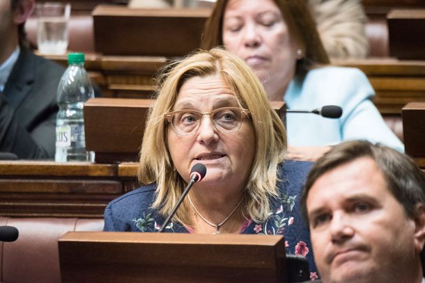 La senadora Graciela Bianchi aseguró que el PSOE español financiaba narcodictaduras.