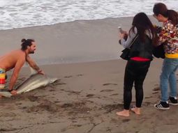 Sacan del agua a un tiburón para sacarse una foto