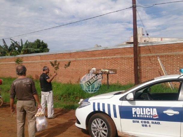 Gentileza El Diario de Misiones.