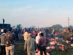 Volcó camión con vacas: las faenaron y se llevaron la carne