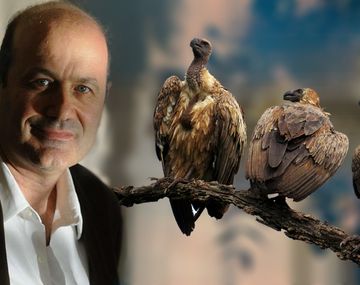 ¿Qué pensaba en 2012 Federico Sturzenegger sobre el pago a los fondos buitre?