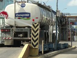 En lo que va del año, hubo un aumento de la facturación del 4% interanual en exportaciones de lácteos. En lo que va del año, hubo un aumento de la facturación del 4% interanual en exportaciones de lácteos.