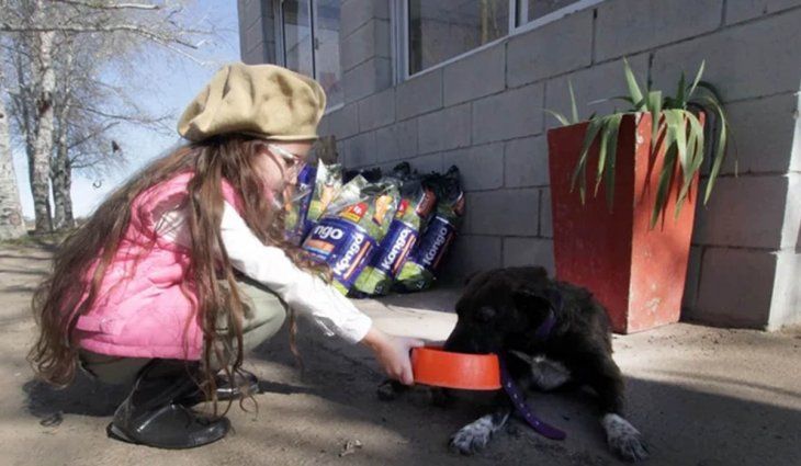 San Luis: una nena de 7 años recaudó con una feria de ropa y con el dinero  compró comida para perritos de un refugio