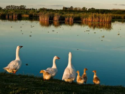 El pueblo poco conocido que tiene una laguna y con naturaleza por donde mires