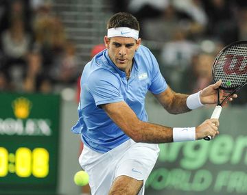 Del Potro, en el segundo punto de la serie ante Karlovic