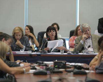 Tres comisiones de Diputados ya debaten la creación de la AFI