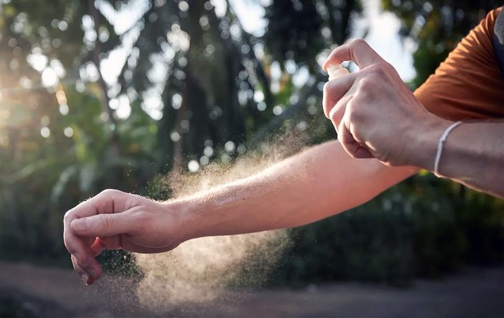 Dónde comprar repelente para mosquitos: su exorbitante precio