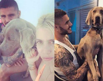 Aseguran que  Icardi incineró a un perro de la familia frente a sus hijas
