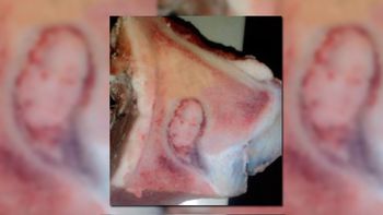 conmocion en san juan: aparecio una imagen de la virgen... ¡en un osobuco! conmocion en san juan: aparecio una imagen de la virgen... ¡en un osobuco!