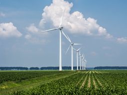 La inversión millonaria para la planta de hidrógeno verde le permitirá a Uruguay posicionarse a nivel internacional. La inversión millonaria para la planta de hidrógeno verde le permitirá a Uruguay posicionarse a nivel internacional.