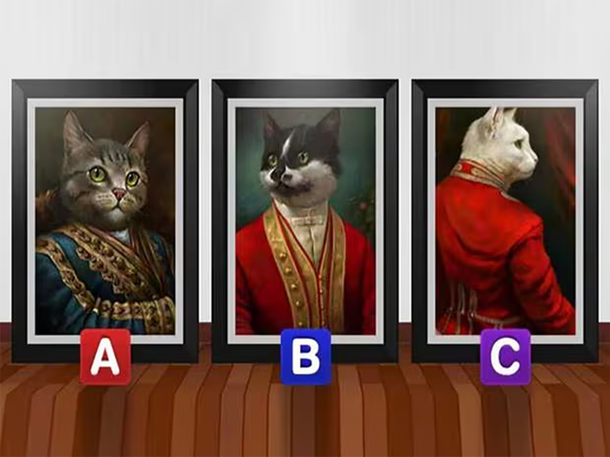 Test viral: descubrí si sos un buen líder según el gato que elijas