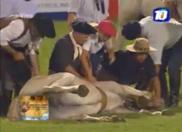 Muere otra yegua en el Festival de Doma de Jesús María