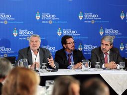 el senado debate en comision por el blanqueo de dolares el senado debate en comision por el blanqueo de dolares