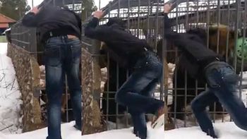 un borracho quiso acariciar a un oso y perdio la mano de un mordisco un borracho quiso acariciar a un oso y perdio la mano de un mordisco