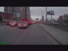 Un gatito casi es aplastado por un auto