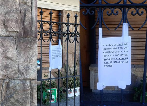 Vecino de La Plata amenazó de muerte a una joven porque le deja comida a los gatos de la calle: Balas...