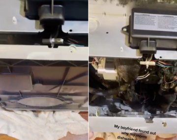No le funcionaba el lavavajillas y se llevó una desagradable sorpresa: Nunca quise vomitar como ahora
