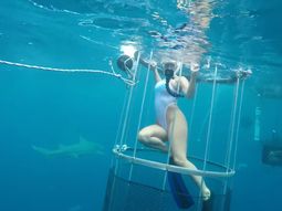 La actriz Molly Cavalli fue atacada por un tiburón 