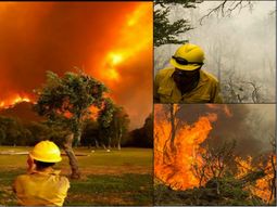 declaran la emergencia ambiental declaran la emergencia ambiental