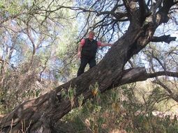 la fundacion alameda denuncio a stiusso por enriquecimiento ilicito la fundacion alameda denuncio a stiusso por enriquecimiento ilicito