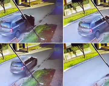 Tremenda basura: abandonó a dos cachorros y aplastó a uno al huir