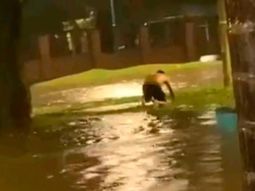 fuertes temporales afectan cordoba y tucuman: un nino de 12 anos murio electrocutado fuertes temporales afectan cordoba y tucuman: un nino de 12 anos murio electrocutado