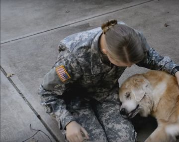 El reencuentro de una perra con su dueña soldado