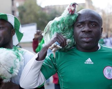 Para los nigerianos las gallinas traen buena suerte - Crédito: Per-Anders Pettersson