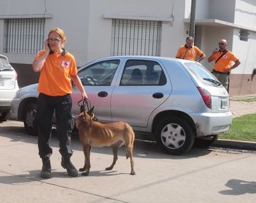 Empresas deberán pagar $60 a afectados por el temporal