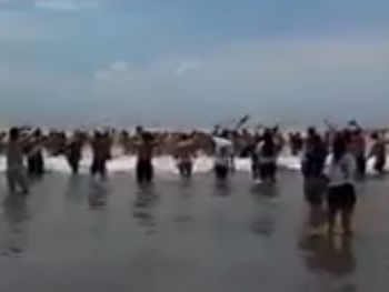 VIDEO: los hinchas de San Lorenzo coparon las playas de Mar del Plata