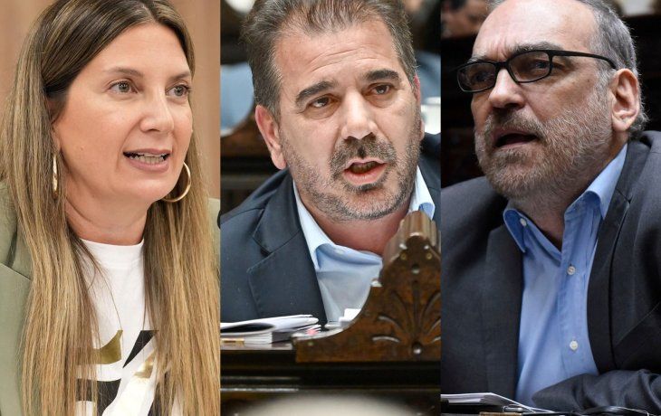 Lospennato votó en contra de los vetos, Ritondo le gritó y Fernando Iglesias pidió tomar medidas: su carta