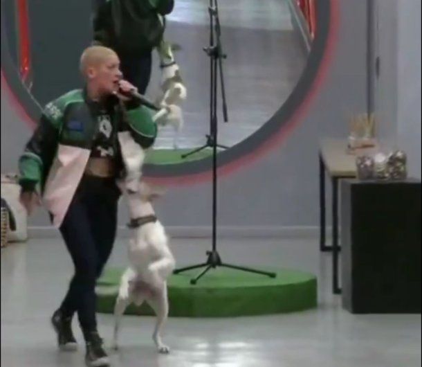 Gran Hermano: qué pasó entre Furia y Arturo