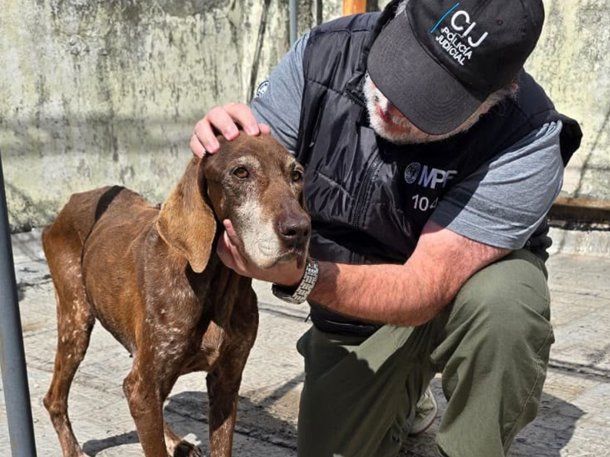 Maltrato animal en Boedo: una mujer quedó imputada tras el rescate de dos perras en estado de abandono.