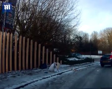 VIDEO: Sufrió una fuerte caída al resbalarse en la calle y fue rescatada por ¡Papá Noel!