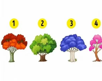El árbol que elijas revelará datos claves sobre tu personalidad