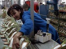 calzado nacional: suben exportaciones y caen las importaciones calzado nacional: suben exportaciones y caen las importaciones