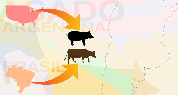 El Gobierno ahora autorizó la importación de carne vacuna desde Brasil