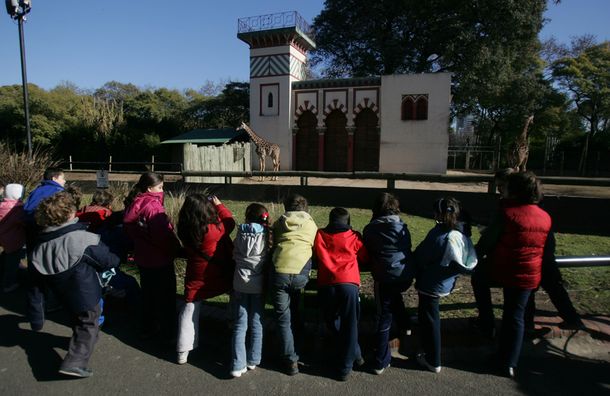Vacaciones de invieron en el Zoo