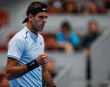 Del Potro clasificó a la final del ATP de Estocolmo