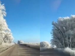 Ola de frío polar y bosque de hielo: impactante video de un camino congelado en Buenos Aires Ola de frío polar y bosque de hielo: impactante video de un camino congelado en Buenos Aires