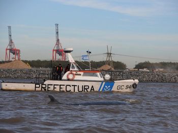 La ballena encallada en Dock Sud sigue viva pero sin poder liberarse