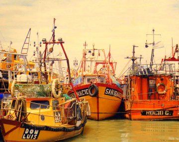 Chubut: denuncian evasión impositiva en la pesca por más de $4.500 millones