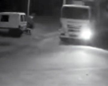 Atropellaron a una perra con un camión de basura y la dejaron tirada