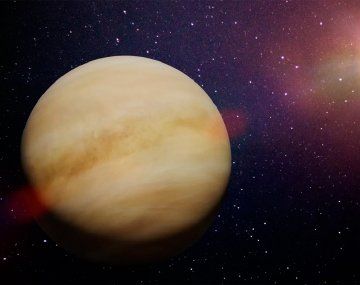 Especialistas aseguran que hay vida en Venus