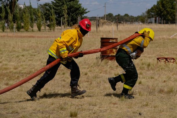 Alertan por el alto peligro de incendios y el ministerio de Ambiente envía aeronaves a la Patagonia