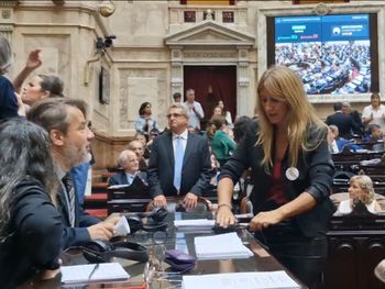 Florencia Carignano desconectó los cables de los taquígrafos en pleno debate en Diputados
