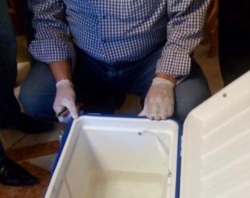 Hallan segunda caja negra del EgyptAir