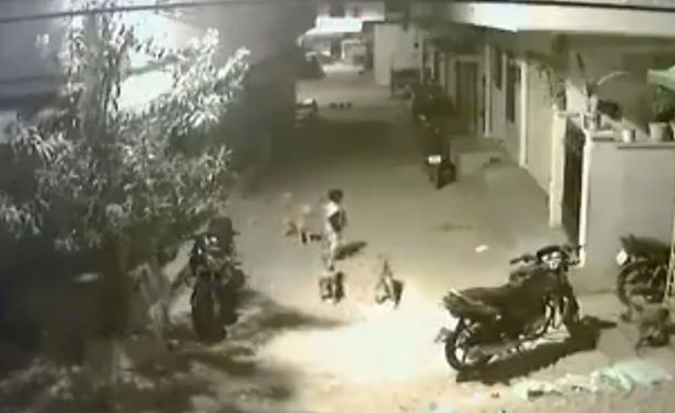 Un nene le hizo frente a una jauría para defender a su amiga