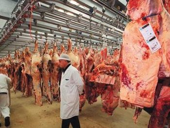 La Unión Europea levantó la restricción de importación de carne argentina