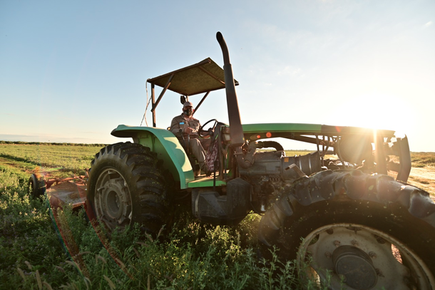 Mejor Riojanas: 36 empresas estatales que se destacan en el mercado nacional e internacional 